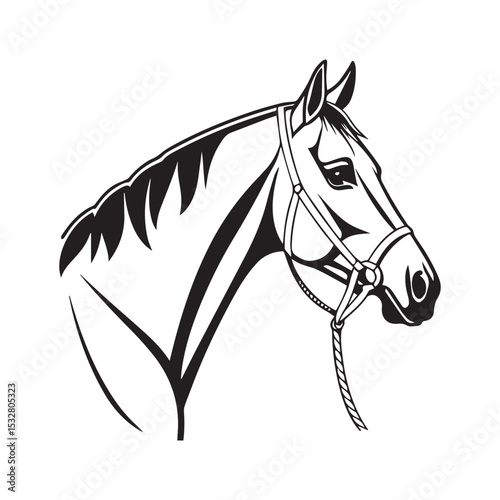 Stylish Black and White Horse Head Profile