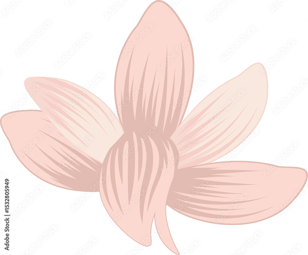 Naklejka premium Vector-style six-petaled coral and peach flower is floating on transparent background, copy space