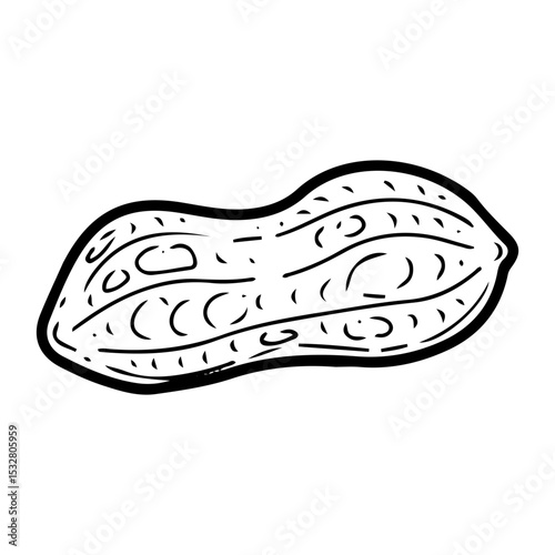 Peanut raw in skin. Hand drawn doodle vector. Ripe bean nut. Natural food. Organic ingredient. Grain seeds. Agricultural plant. Farm product. Illustration line art element.