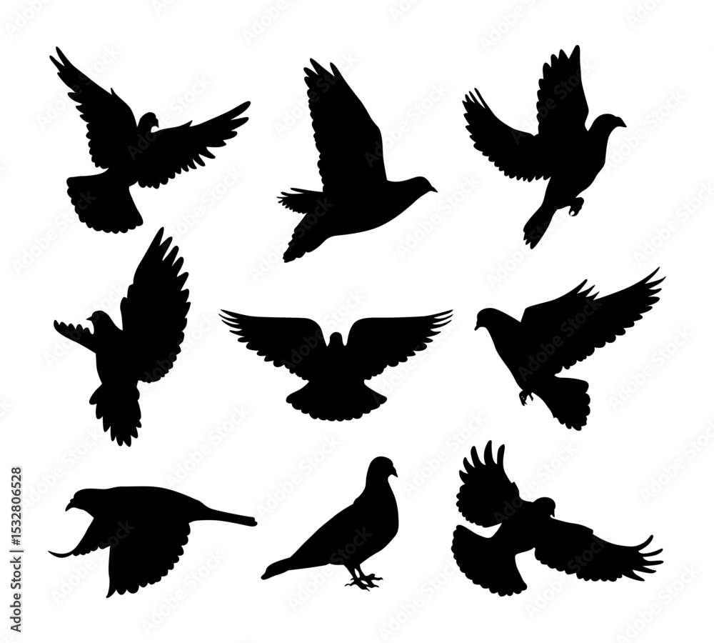 Fototapeta premium dove silhouette set vector illustration