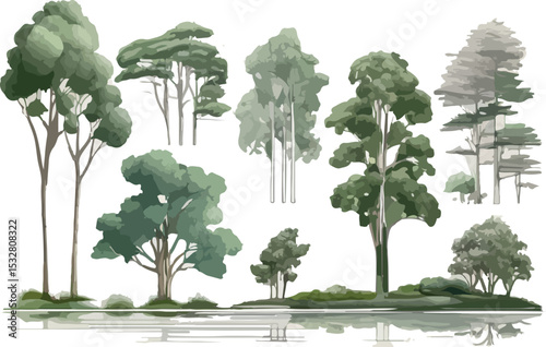 Side view vector line drawings of trees, presented as a set of separate elements showing wetland forest sections.