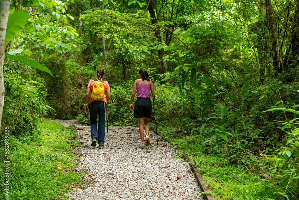 Fototapeta premium Two adult women enjoying an outdoor adventure, walking on a gravel path through the dense, green rainforest, using hiking poles for their trek, Panama city - stock photo