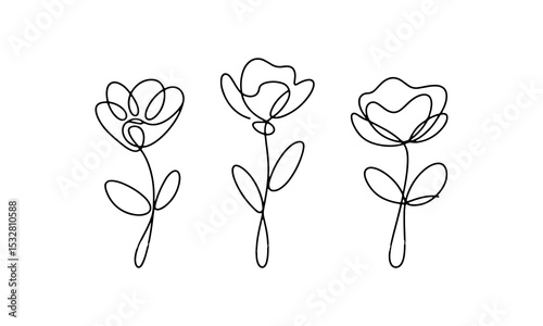 Minimal Line Flower Set. A clean trio of abstract flowers drawn in a continuous line.