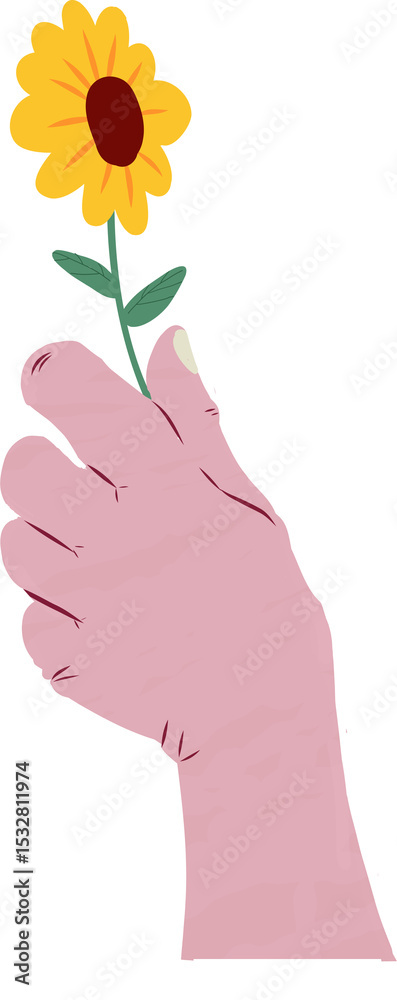 Fototapeta premium Disembodied pink hand is holding sunflower with green stem on transparent background flat style