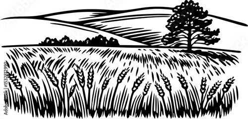 Wheat field illustration countryside landscape with tree and hills, rural farming scene, nature agriculture graphic