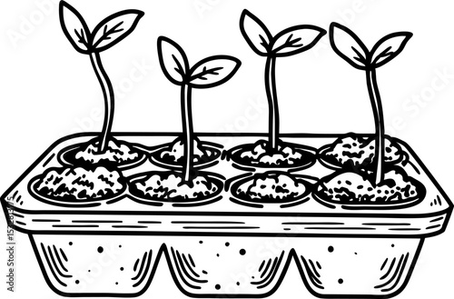 Seedling tray with young plant sprouts growing garden seedlings, eco nature cultivation concept illustration
