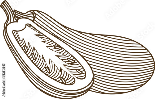 Sliced eggplant illustration outline drawing of fresh aubergine vegetable, whole and half, botanical sketch