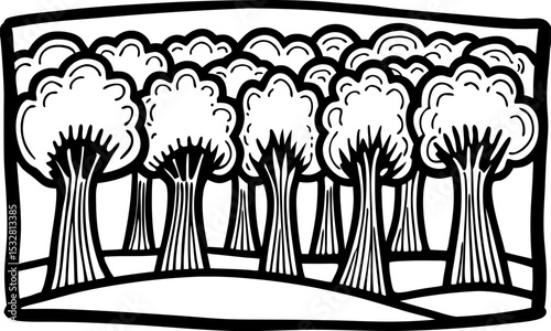 Stylized black and white forest illustration line art trees in landscape, abstract woodland nature scene