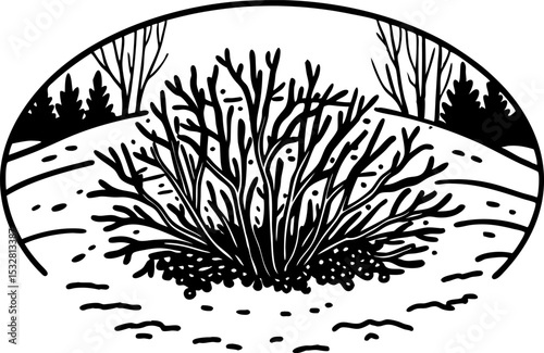 Leafless bush in winter landscape bare branches, snow covered ground, nature outline, seasonal cold weather illustration