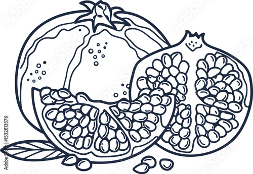 Pomegranate fruit illustration whole and sliced hand drawn pomegranates with seeds, detailed botanical sketch in black and white