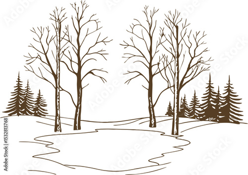 Bare winter trees and pine forest by frozen pond leafless nature landscape, tranquil snow covered scene