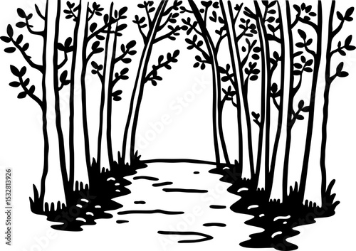Bare deciduous trees lining forest path, minimalist black and white illustration with natural foliage and shadows