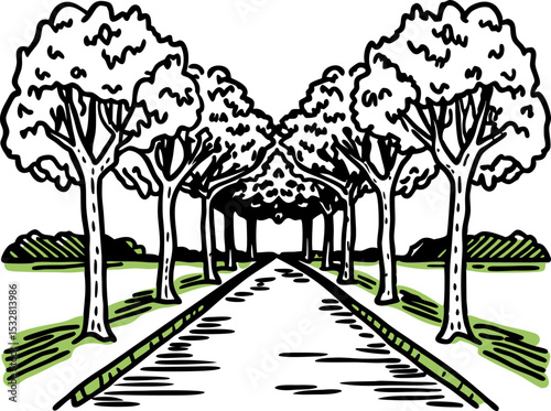 Tree lined pathway illustration symmetrical avenue with lush green grass, leafy trees, peaceful outdoor scene