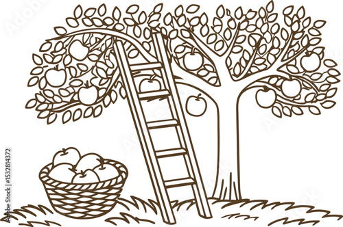 Apple harvest illustration ladder leaning on fruit tree and basket full of apples in orchard, autumn picking season