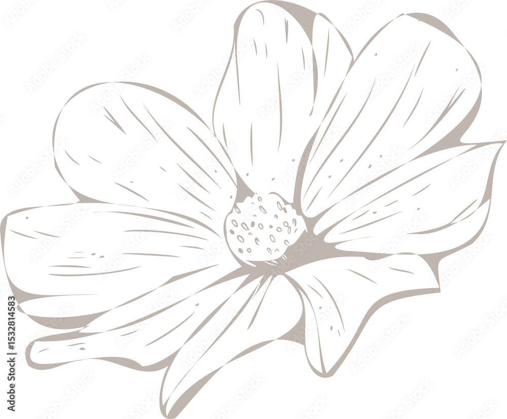 Fototapeta premium Vector showing daisy-like flower with eight petals, textured center on transparent backdrop