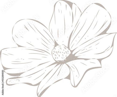 Vector showing daisy-like flower with eight petals, textured center on transparent backdrop