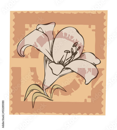 Fototapeta Naklejka Na Ścianę i Meble -  Stylized lily blossom on scalloped panel is showing petals, stamens, leaves, transparent background