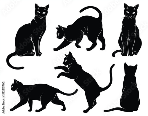 Elegant Feline Silhouettes – American Bobtail Edition
