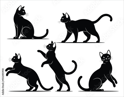 Realistic American Bobtail Cat Silhouette Bundle