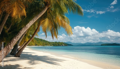 Tropical beach scene with palm trees and vintage tones