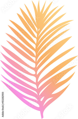Palm frond leaf is being shown in vector design with pink-yellow gradient transparent background