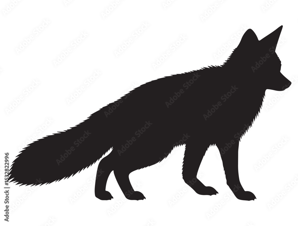 FOX SILHOUETTE FOX SILHOUETTE