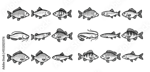 Freshwater Fish Icons Grid