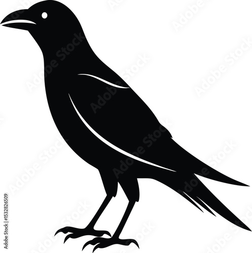 black crow silhouette isolated on white background