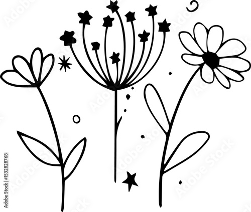 Fototapeta Naklejka Na Ścianę i Meble -  Stylized flowers are floating on transparent background, with long petals, starburst seeds, daisy