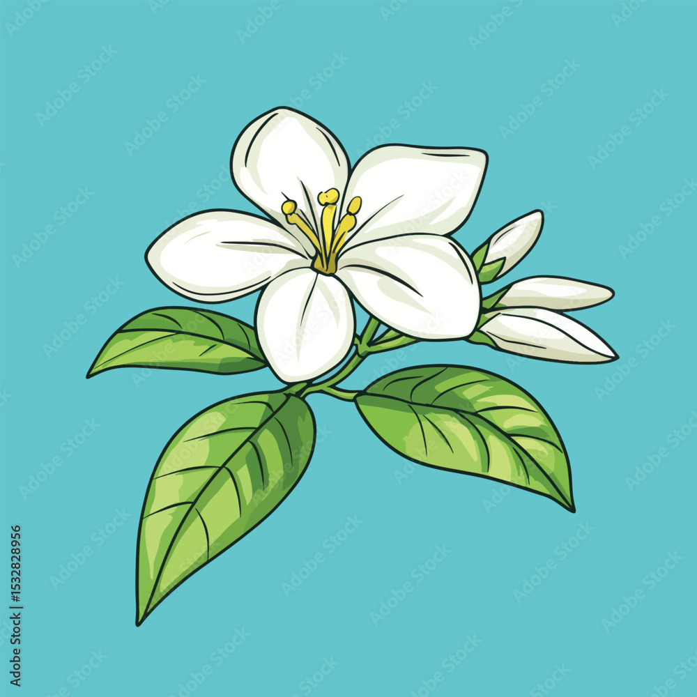 Obraz premium Vibrant White Blossom with Green Leaves and Buds