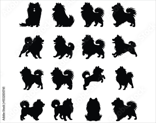 Black Pomeranian Vector Silhouettes for Logos & Tees