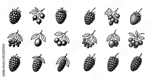 Berry Icon Grid