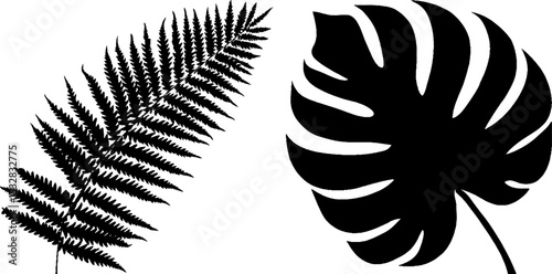 Tropical leaf silhouettes featuring fern and palm fronds for artistic design