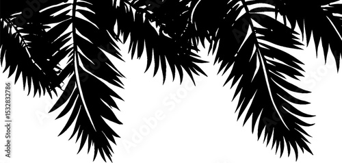 High contrast feather silhouette border design for creative projects