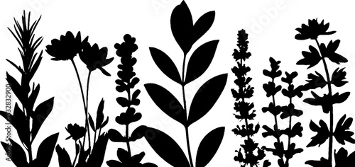 Medicinal herbs and plants silhouette border for natural themed designs