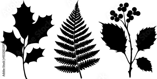 Nature-inspired silhouettes of holly leaf and ivy vine for botanical designs