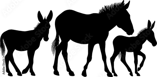 High contrast silhouettes of horse, donkey, mule, and foal for farm animal design