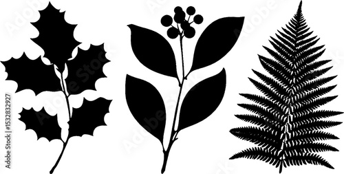 Botanical silhouettes collection: holly leaf, ivy vine, and fern design for nature-inspired projects