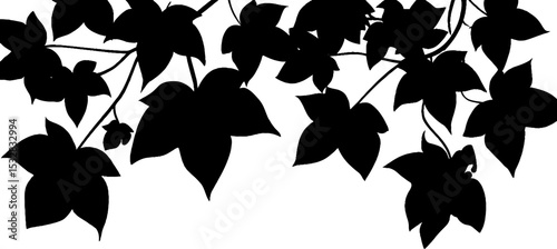 Ivy leaves border silhouette design in high contrast black for artistic decoration