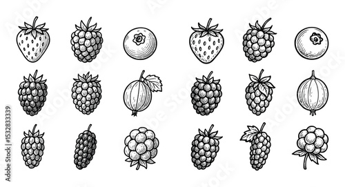 Hand-Drawn Berry Icons