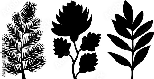 Pine needle and fir branch silhouettes for nature-themed designs