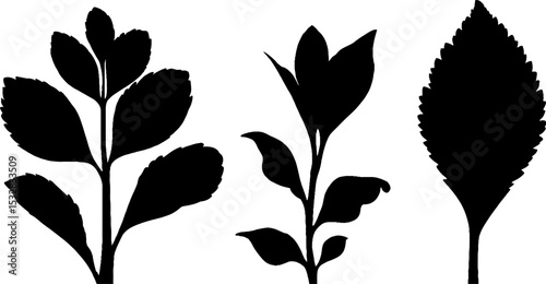 Botanical silhouettes of seedlings and saplings for nature and design projects