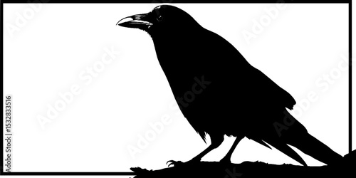 High contrast raven silhouette with border for design and decoration