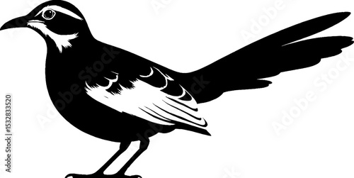 Silhouette of roadrunner and related birds for nature and wildlife designs