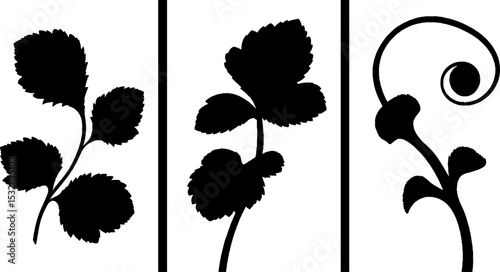 Cloudberry sprig and leaf art with swirl and vine design elements