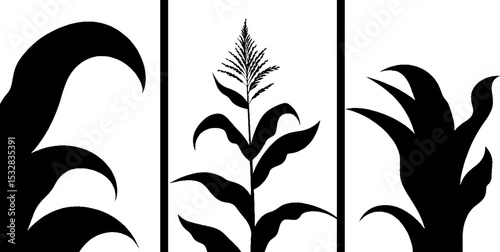 Artistic black and white corn stalk and leaf swirl silhouettes for design