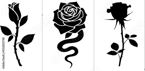 Elegant floral and snake silhouette design featuring rose and dagger motif for artistic decor
