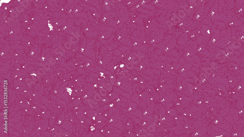 Bougainvilleas pink flowers on the transparent background