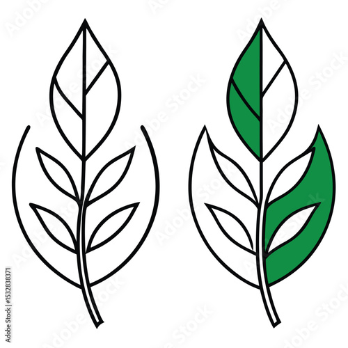 Twin Leaf Icons: A Symbolic Representation of Nature and Growth, Featuring a Detailed Line Art Leaf and a Vibrant Green Leaf, Ideal for Eco Friendly Branding and Nature Related Projects