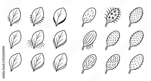 Petal Fuzz Icons